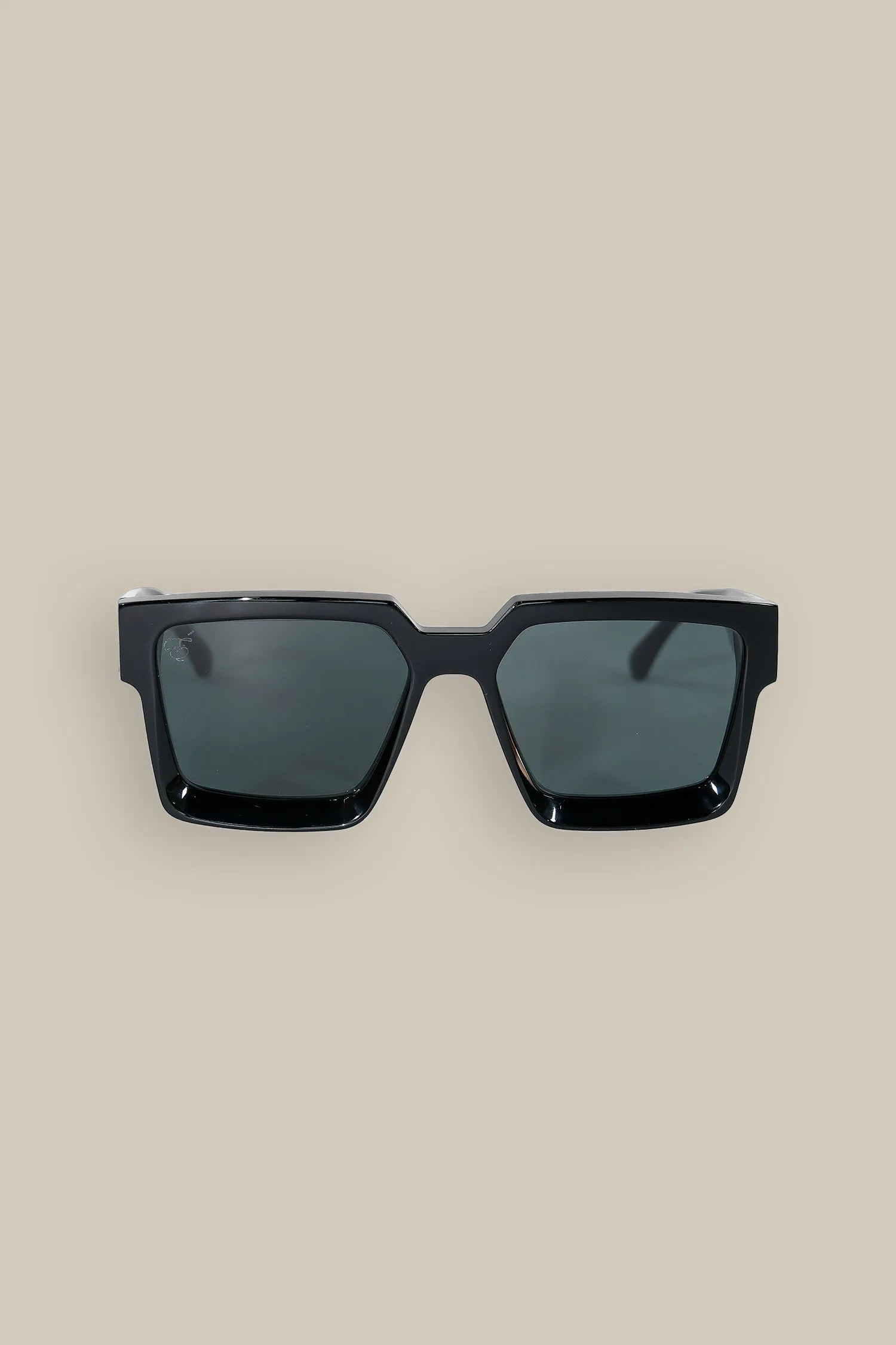 Polarized Sunglasses